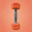 [ 10 lbs. ] Colored Hex Dumbbells - Booty Bands PH