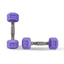 [ 15 lbs. ] Colored Hex Dumbbells - Booty Bands PH
