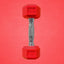 [ 5 lbs. ] Colored Hex Dumbbells - Booty Bands PH